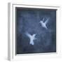 Flight in Blue I-Chris Donovan-Framed Art Print