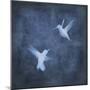 Flight in Blue I-Chris Donovan-Mounted Art Print