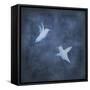 Flight in Blue II-Chris Donovan-Framed Stretched Canvas