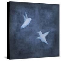 Flight in Blue II-Chris Donovan-Stretched Canvas