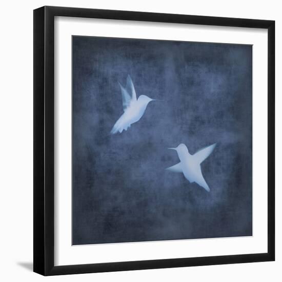 Flight in Blue II-Chris Donovan-Framed Art Print