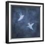 Flight in Blue II-Chris Donovan-Framed Art Print