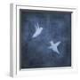 Flight in Blue II-Chris Donovan-Framed Art Print