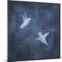 Flight in Blue II-Chris Donovan-Mounted Art Print