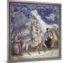 Flight into Egypt-Giotto di Bondone-Mounted Giclee Print