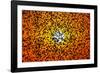 Flight of birds at sunset-Nicodemo Quaglia-Framed Photographic Print