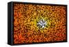 Flight of birds at sunset-Nicodemo Quaglia-Framed Stretched Canvas