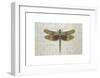 Flight of Fancy I-Jennifer Brice-Framed Giclee Print