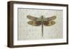 Flight of Fancy I-Jennifer Brice-Framed Giclee Print