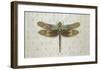 Flight of Fancy I-Jennifer Brice-Framed Giclee Print