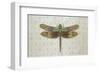 Flight of Fancy I-Jennette Brice-Framed Art Print