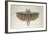 Flight of Fancy II-Jennette Brice-Framed Art Print