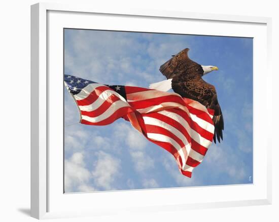 Flight of Freedom Bald Eagle-Jai Johnson-Framed Giclee Print