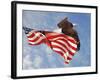 Flight of Freedom Bald Eagle-Jai Johnson-Framed Giclee Print