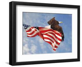 Flight of Freedom Bald Eagle-Jai Johnson-Framed Premium Giclee Print