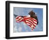 Flight of Freedom Bald Eagle-Jai Johnson-Framed Premium Giclee Print