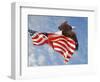 Flight of Freedom Bald Eagle-Jai Johnson-Framed Premium Giclee Print