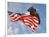 Flight of Freedom Bald Eagle-Jai Johnson-Framed Giclee Print