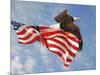 Flight of Freedom Bald Eagle-Jai Johnson-Mounted Giclee Print