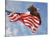 Flight of Freedom Bald Eagle-Jai Johnson-Stretched Canvas