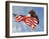 Flight of Freedom Bald Eagle-Jai Johnson-Framed Giclee Print