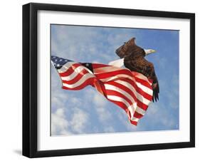 Flight of Freedom Bald Eagle-Jai Johnson-Framed Giclee Print