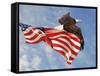 Flight of Freedom Bald Eagle-Jai Johnson-Framed Stretched Canvas