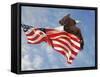 Flight of Freedom Bald Eagle-Jai Johnson-Framed Stretched Canvas