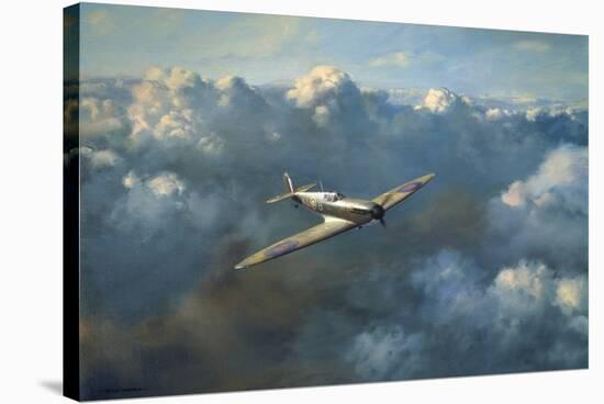Flight of Freedom-Roy Cross-Stretched Canvas