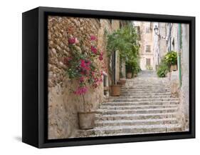 Flight of Steps in the Heart of the Village Fornalutx Near Soller, Mallorca, Balearic Islands, Spai-Ruth Tomlinson-Framed Stretched Canvas