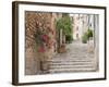 Flight of Steps in the Heart of the Village Fornalutx Near Soller, Mallorca, Balearic Islands, Spai-Ruth Tomlinson-Framed Photographic Print