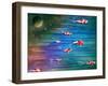 Flight Of The Eventide-Cindy Thornton-Framed Art Print