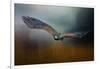 Flight of the Harris Hawk-Jai Johnson-Framed Giclee Print