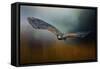 Flight of the Harris Hawk-Jai Johnson-Framed Stretched Canvas