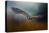 Flight of the Harris Hawk-Jai Johnson-Stretched Canvas