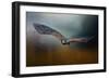 Flight of the Harris Hawk-Jai Johnson-Framed Giclee Print