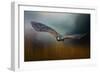 Flight of the Harris Hawk-Jai Johnson-Framed Giclee Print