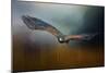 Flight of the Harris Hawk-Jai Johnson-Mounted Giclee Print