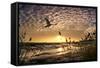 Flight of the Swan-Adrian Campfield-Framed Stretched Canvas
