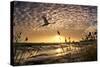 Flight of the Swan-Adrian Campfield-Stretched Canvas