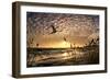 Flight of the Swan-Adrian Campfield-Framed Premium Photographic Print