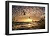 Flight of the Swan-Adrian Campfield-Framed Premium Photographic Print