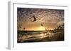 Flight of the Swan-Adrian Campfield-Framed Photographic Print