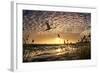 Flight of the Swan-Adrian Campfield-Framed Photographic Print