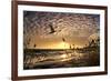 Flight of the Swan-Adrian Campfield-Framed Photographic Print