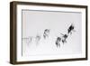 Flight pattern, 2014-Odile Kidd-Framed Giclee Print