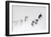 Flight pattern, 2014-Odile Kidd-Framed Giclee Print