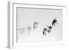 Flight pattern, 2014-Odile Kidd-Framed Giclee Print