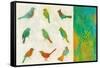 Flight Patterns I Crop-Melissa Averinos-Framed Stretched Canvas