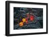 Flight preparation-Ayse Yorgancilar-Framed Photographic Print